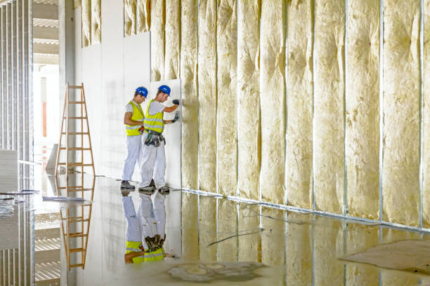 Best Spray Foam Insulation in Saylorsburg, PA
